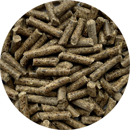 Zestaw: BIOFEED Horse & Pony Hair & Skin Pellets 25 kg + Olej rzepakowy dla koni BIOFEED Horse & Pony Soya Oil 4,5 l