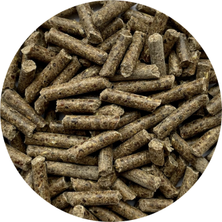Zestaw: BIOFEED Horse & Pony Hair & Skin Pellets 25 kg + Olej rzepakowy dla koni BIOFEED Horse & Pony Canola Oil 1 l