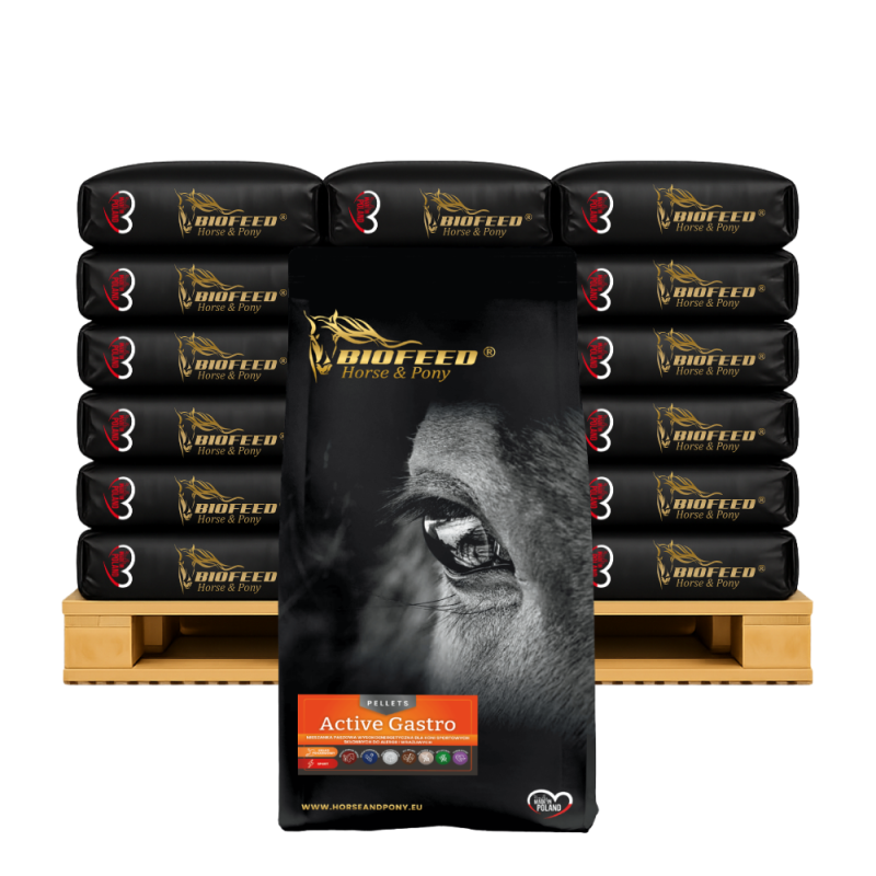 ACTIVE GASTRO PELLET 40 X 25 KG