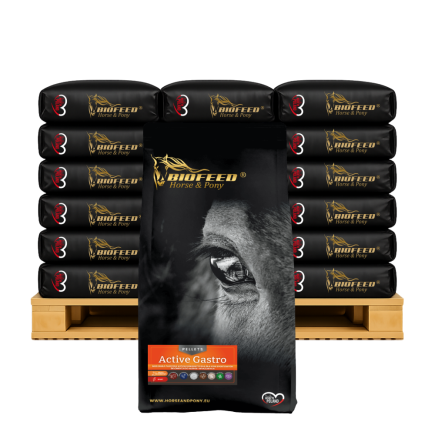 ACTIVE GASTRO PELLET 40 X 25 KG