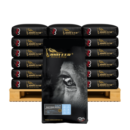 CALM OAT FREE MUSLI 50 X 20 KG