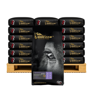 RESPIRATION MUSLI 50 X 20 KG