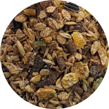 BIOFEED Horse & Pony Active Musli 20 kg