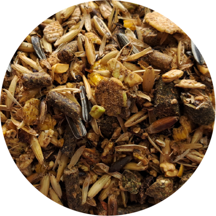 BIOFEED Horse & Pony Breed Musli 20 kg