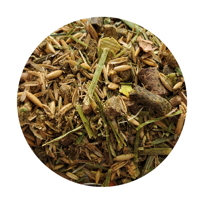 ZESTAW: BIOFEED Horse & Pony Sensitive Grain Free Musli 20 kg+BIOFEED Horse & Pony Corn Oil 1 l ZESTAW: BIOFEED Horse & Pony Sensitive Grain Free Musli 20 kg+BIOFEED Horse & Pony Corn Oil 1 l