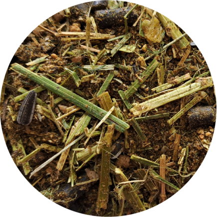 Próbka BIOFEED Horse & Pony Active Grain Free Musli 400 g (stabilopack)