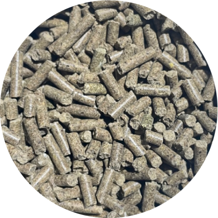BIOFEED Horse & Pony Muscles 1000 g (stabilopack)