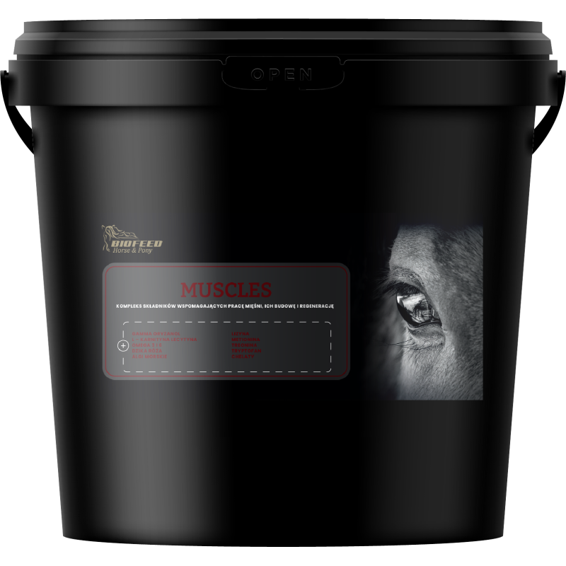 BIOFEED Horse & Pony Muscles 6 kg BIOFEED Horse & Pony Muscles 6 kg