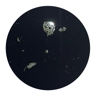 Olej konopny dla koni BIOFEED Horse & Pony Hemp Oil 4,5 l