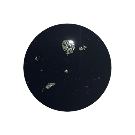 Olej konopny dla koni BIOFEED Horse & Pony Hemp Oil 4,5 l