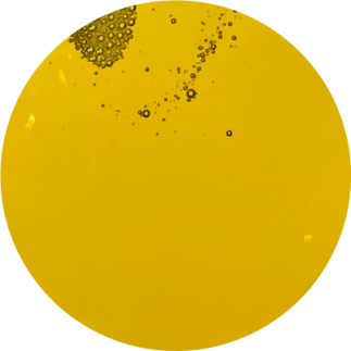 Olej lniany dla koni BIOFEED Horse & Pony Linseed Oil 1 l