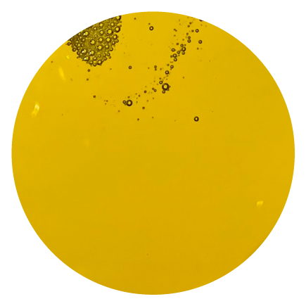 Olej lniany dla koni BIOFEED Horse & Pony Linseed Oil 1 l