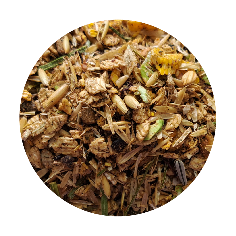 ZESTAW: BIOFEED Horse & Pony Veterans Musli 20 kg+BIOFEED Horse & Pony Joints Care 900 g (słoik PET) ZESTAW: BIOFEED Horse & Pony Veterans Musli 20 kg+BIOFEED Horse & Pony Joints Care 900 g (słoik PET)