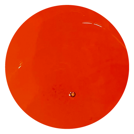 BIOFEED Horse & Pony Corn Oil 1 l