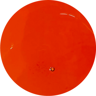 BIOFEED Horse & Pony Corn Oil 4,5 l