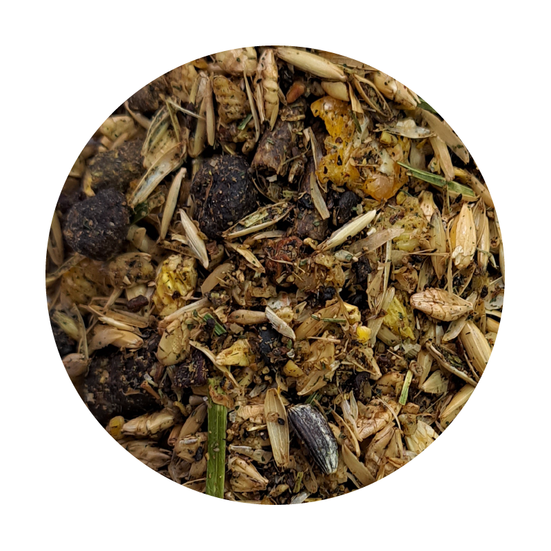 ZESTAW: BIOFEED Horse & Pony Muscles Musli 20 kg+BIOFEED Horse & Pony Muscles 1000 g (słoik PET) ZESTAW: BIOFEED Horse & Pony Muscles Musli 20 kg+BIOFEED Horse & Pony Muscles 1000 g (słoik PET)