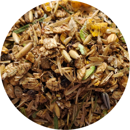 BIOFEED Horse & Pony Veterans Musli 20 kg