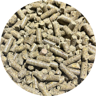 BIOFEED Horse & Pony Respiration 900 g (słoik PET)