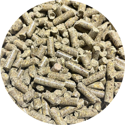 BIOFEED Horse & Pony Respiration 900 g (słoik PET)