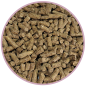 BIOFEED Horse & Pony Candy Vitamins & Minerals 900 g (słoik PET) BIOFEED Horse & Pony Candy Vitamins & Minerals 900 g (słoik PET)