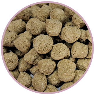 BIOFEED Horse & Pony Candy Cookies Shiny Coat 900 g