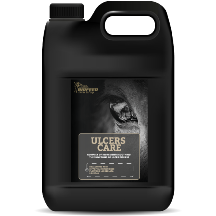 Suplement dla koni wrzodowych BIOFEED Horse & Pony Ulcers Care 4,5 l