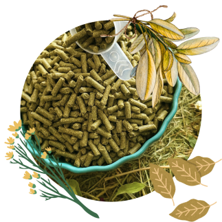 Active Pellets 25 kg