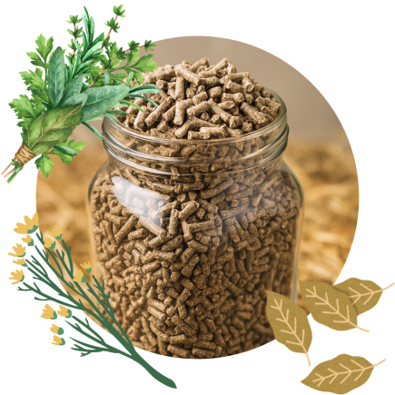 Perfect Growth Pellets 25