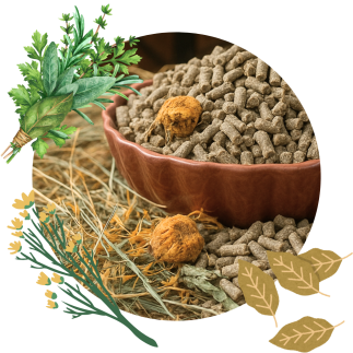 Daily Comfort Foal PELLETS 25 kg