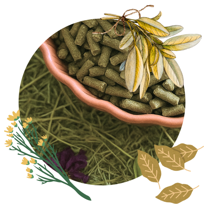 Active Gastro Pellets 25 kg Active Gastro Pellets 25 kg