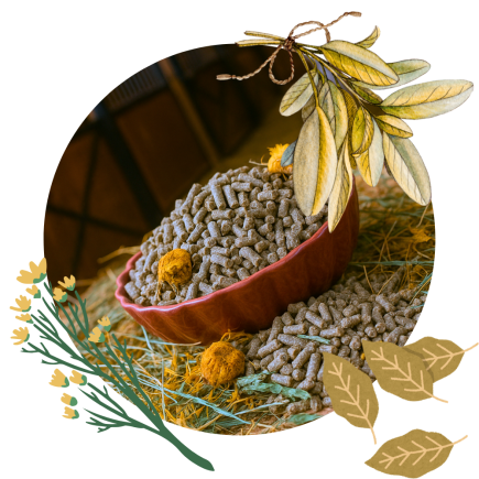 Daily Comfort ESSENTIAL PELLETS 25 kg