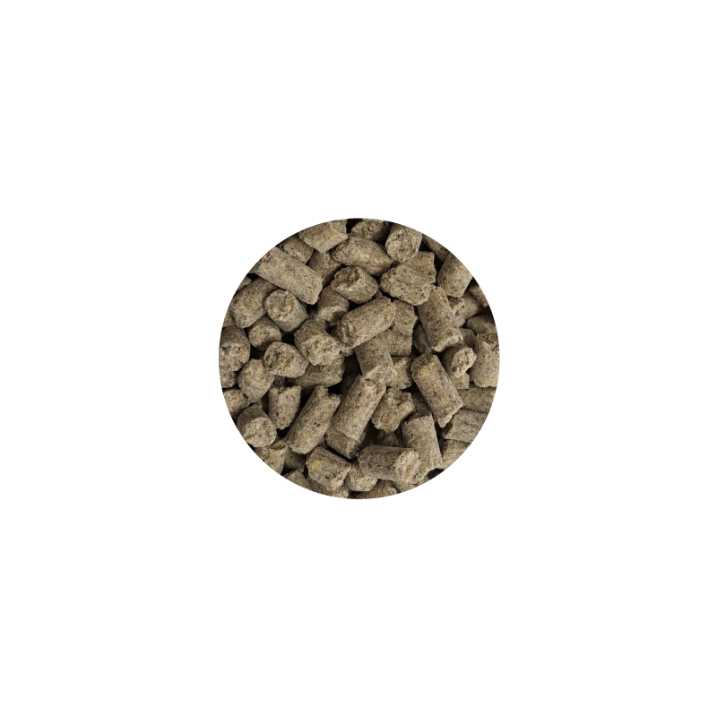 Paleta BIOFEED Horse & Pony Active Pellets 40x 25 kg Paleta BIOFEED Horse & Pony Active Pellets 40x 25 kg