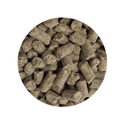 Paleta BIOFEED Horse & Pony Active Pellets 40x 25 kg