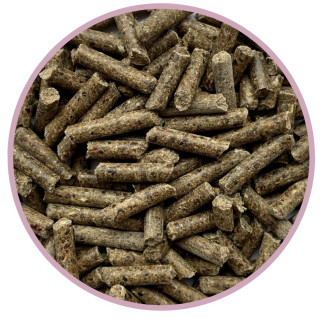 Paleta BIOFEED Horse & Pony Candy Pellet Shiny Coat 40x 25 kg