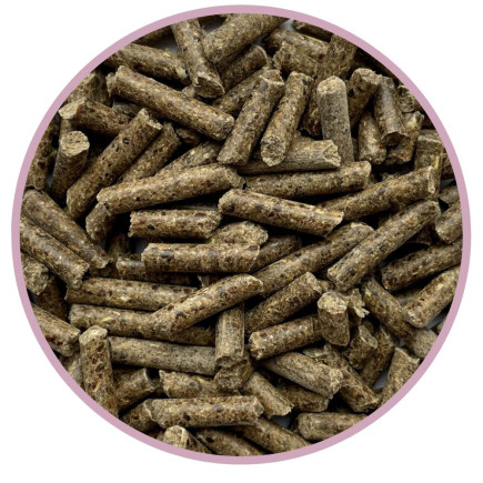 Paleta BIOFEED Horse & Pony Candy Pellet Shiny Coat 40x 25 kg