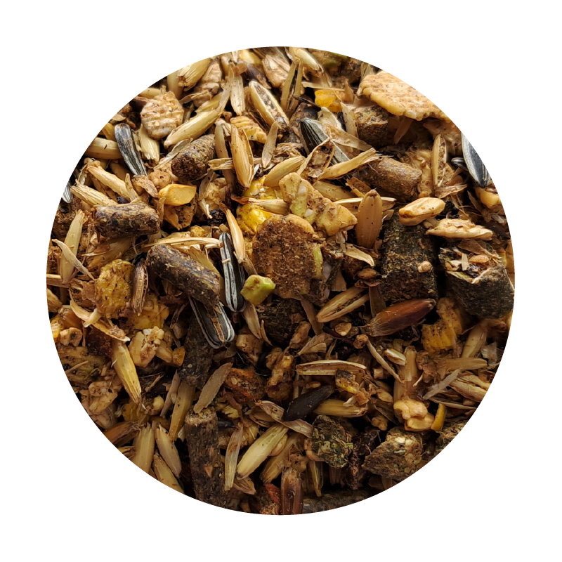 ZESTAW: BIOFEED Horse & Pony Breed Musli 2x 20 kg