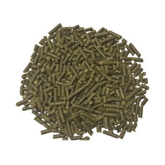 LUCERNA DLA KONI ALFALFA GRANULATED 20kg