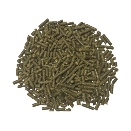 LUCERNA DLA KONI ALFALFA GRANULATED 20kg