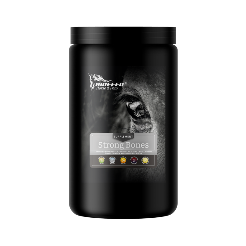 STRONG BONES 900g