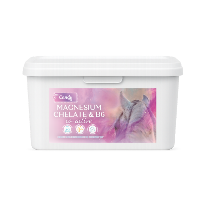 MAGNESIUM CHELATE & B6 CO-ACTIVE 1,5kg