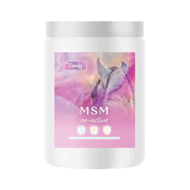 MSM CO-ACTIVE 0,75kg