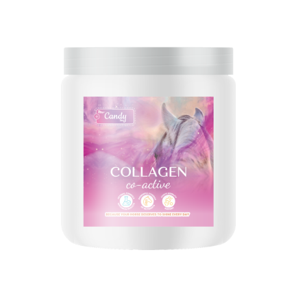COLLAGEN CO-ACTIVE 0,3kg