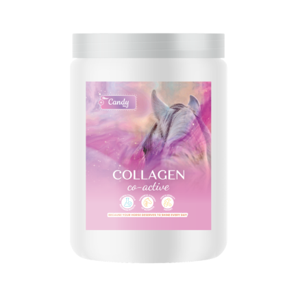 COLLAGEN CO-ACTIVE 0,9kg