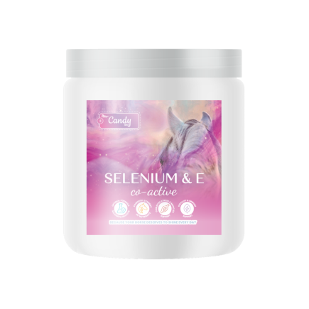SELENIUM & E CO-ACTIVE 0,3kg