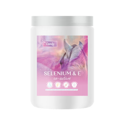 SELENIUM & E CO-ACTIVE 0,9kg