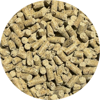 ZESTAW: BIOFEED Horse & Pony Strong Bones 2x 6 kg