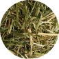 ZESTAW: BIOFEED Horse & Pony Alfalfa with canola oil 2 x 10 kg ZESTAW: BIOFEED Horse & Pony Alfalfa with canola oil 2 x 10 kg