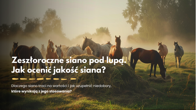 Zeszłoroczne siano pod lupą - jak uzupełnić niedobory, które wynikają z jego stosowania?
