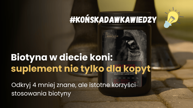 Biotyna dla koni: suplement nie tylko na sierść i kopyta