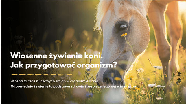 Wiosenne zmiany w żywieniu koni – jak przygotować organizm po zimie?
